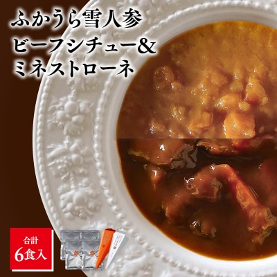 雪人参ビーフシチュー 雪人参ミネストローネ レトルトパック 各3個 