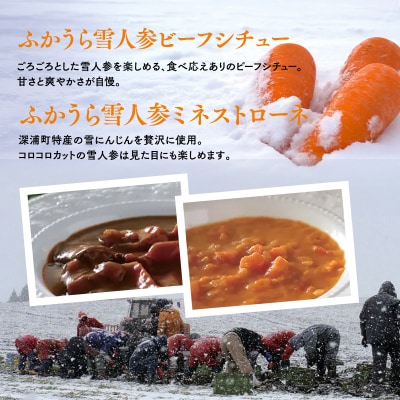 雪人参ビーフシチュー 雪人参ミネストローネ レトルトパック 各3個 