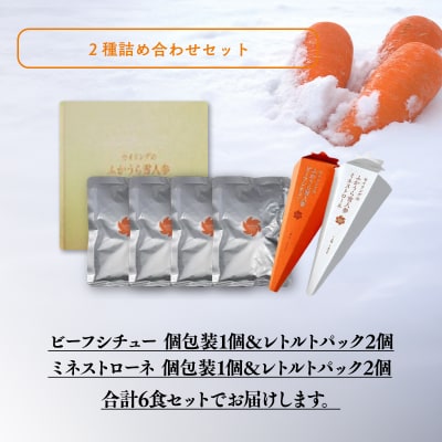 雪人参ビーフシチュー 雪人参ミネストローネ レトルトパック 各3個 