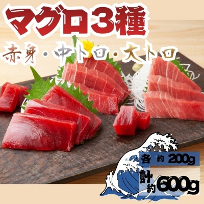 【9月上旬から順次発送】本マグロ 3種 赤身 中トロ 大トロ 各1柵 国産 本鮪 