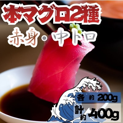 【9月上旬から順次発送】本マグロ 赤身 中トロ 各1柵 セット 国産 本鮪 