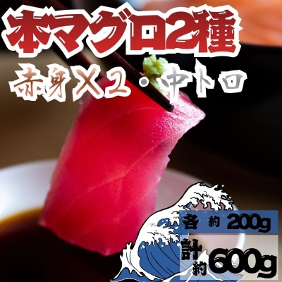 本マグロ 赤身 2柵 中トロ 1柵 セット 国産 本鮪