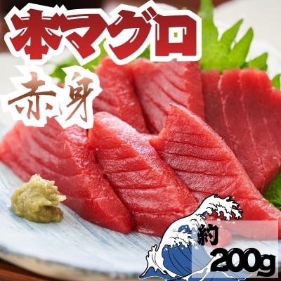 本マグロ 赤身 1柵 国産 本鮪 