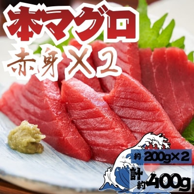 本マグロ 赤身 2柵 国産 本鮪 