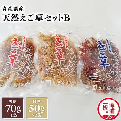 青森えご草セット　No.2