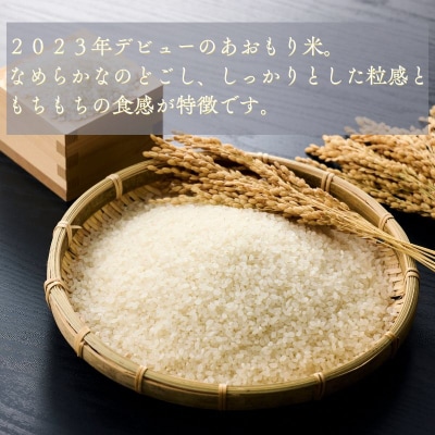 【令和7年産】青森県産 はれわたり 米 10kg 精米 青森ブランド米 白米 ごはん お米