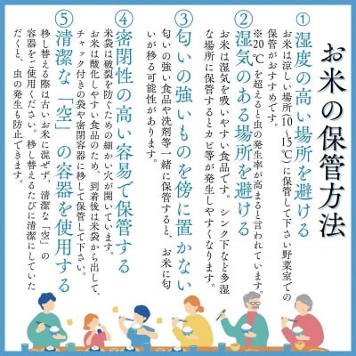 【令和7年産】青森県産 はれわたり 米 10kg 精米 青森ブランド米 白米 ごはん お米