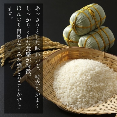 【令和7年産】青森県産 まっしぐら10kg 精米 青森ブランド米 白米 ごはん お米