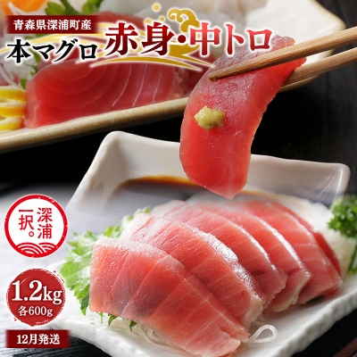 天然本マグロ 赤身 中トロ1.2kg 各600g 青森県深浦町産  冷凍柵
