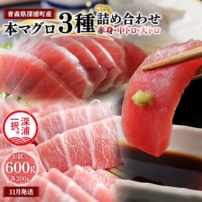 青森県深浦町産 天然本マグロ 3種食べ比べ 600g 各200g 赤身 中トロ 大トロ  冷凍柵
