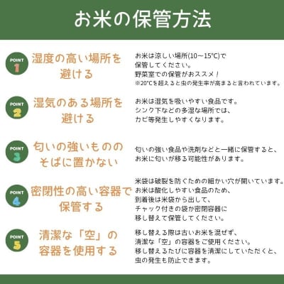 米 玄米【令和8年産 新米】 まっしぐら 10kg 玄米