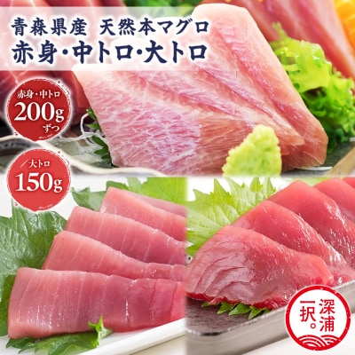 天然本マグロ 深浦マグロ 赤身 中トロ 大トロ 3種セット