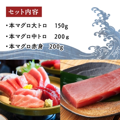 天然本マグロ 深浦マグロ 赤身 中トロ 大トロ 3種セット