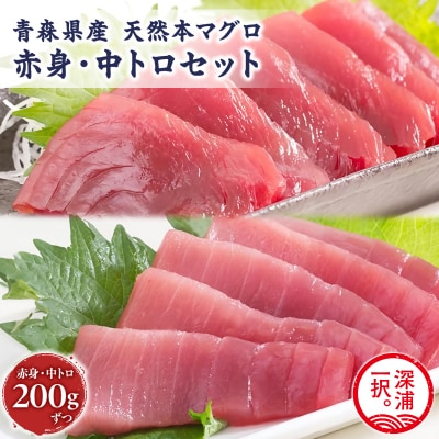  天然本まぐろ 赤身 中トロ 2種セット 各200g 