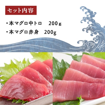  天然本まぐろ 赤身 中トロ 2種セット 各200g 