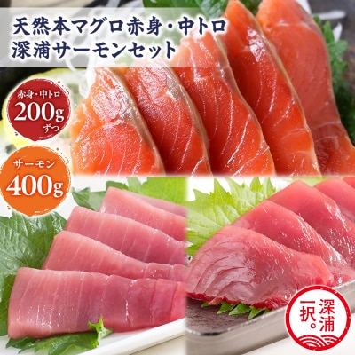 青森サーモン&天然本マグロ 深浦マグロ 赤身 中トロ セット 計800g