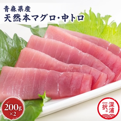 天然本まぐろ 中トロ 400g 冷凍 柵 本マグロ