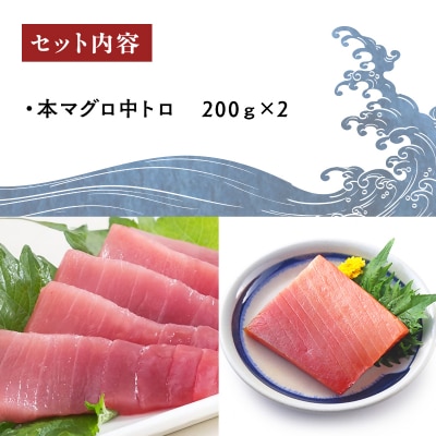 天然本まぐろ 中トロ 400g 冷凍 柵 本マグロ