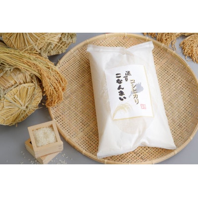 滋賀こなんまい コシヒカリ 計10kg