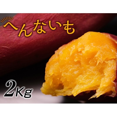 へんないも屋の一口サイズの熟成焼き芋2kg(シルクスイート使用)