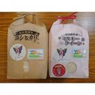 下妻産特別栽培米コシヒカリ2kg&ミルキークイーン2kg　食べ比べセット