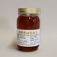 天然生蜂蜜(日本蜜蜂)225ml&times;1本