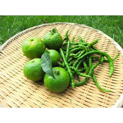 天然柚子使用・特製ゆず胡椒500g(100g×5パック)