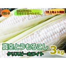 ●先行受付●【訳あり】真空とうもろこし約3kg(クリスピーホワイト)