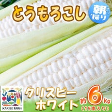 下妻産朝採りとうもろこし約6kg(クリスピーホワイト・約15本入り)2022年6月末ごろより発送開始