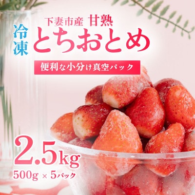 【先行予約】　訳あり下妻産 Ben‘s Berry　完熟冷凍いちご　2.5kg(500g×5パック)