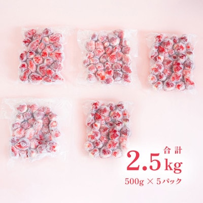 【先行予約】　訳あり下妻産 Ben‘s Berry　完熟冷凍いちご　2.5kg(500g×5パック)