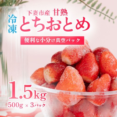 【先行予約】　訳あり下妻産 Ben‘s Berry　完熟冷凍いちご　1.5kg(500g×3パック)