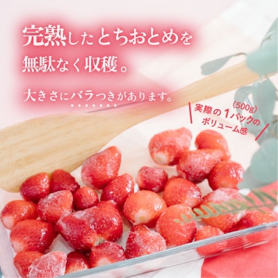 【先行予約】　訳あり下妻産 Ben‘s Berry　完熟冷凍いちご　1.5kg(500g×3パック)