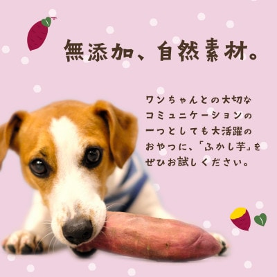 【無添加】ペット用 ふかし芋 小芋 紅はるか  4kg