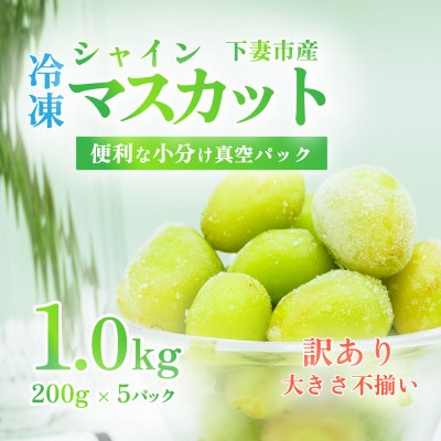 【訳あり】冷凍シャインマスカット1.0kg(200g×5パック) 大きさ不揃い