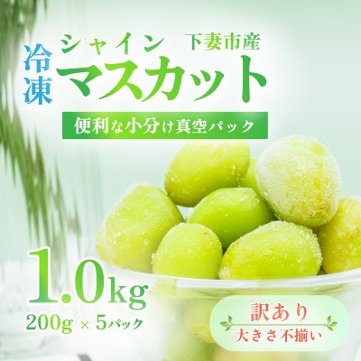 【訳あり】冷凍シャインマスカット1.0kg(200g×5パック) 大きさ不揃い