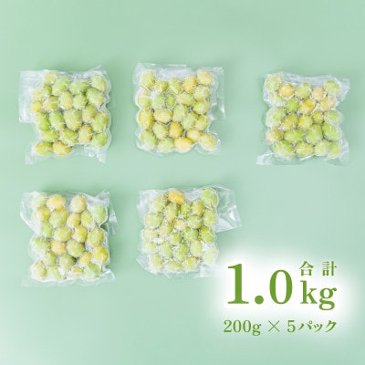 【先行予約】冷凍シャインマスカット1.0kg(200g×5パック)