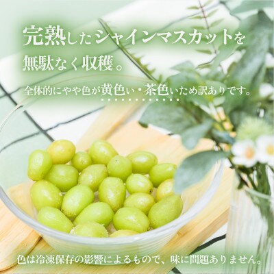 【先行予約】冷凍シャインマスカット500g(100g×5パック)