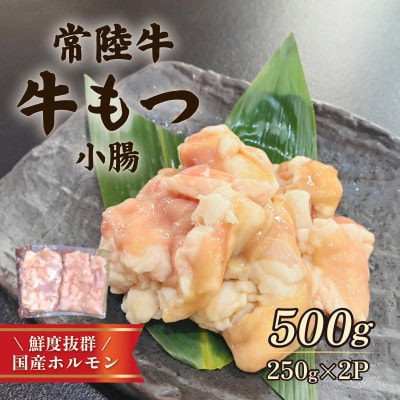 常陸牛もつ(小腸) 500g(250g×2)