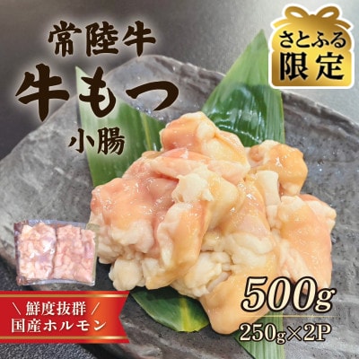 【さとふる限定】常陸牛もつ(小腸) 500g(250g×2)