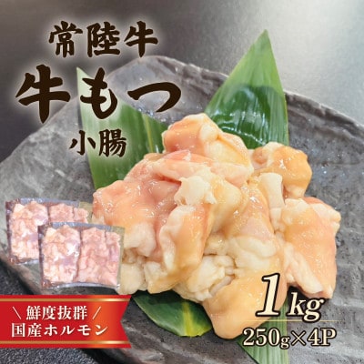 常陸牛もつ(小腸)1kg(250g×4)
