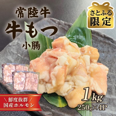 【さとふる限定】常陸牛もつ(小腸)1kg(250g×4)