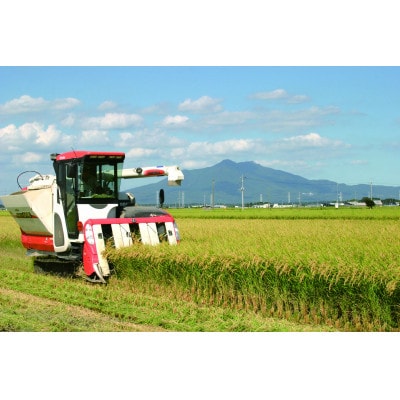 令和4年産茨城県ミルキークイーン 精米 12kg (5kg×2袋、2kg×1袋)