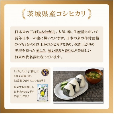 【さとふる限定】茨城県産 コシヒカリ 10kg(5kg×2袋)【令和7年産/精米/10月中旬配送】