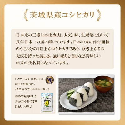 【さとふる限定】茨城県産 コシヒカリ 10kg(5kg×2袋)【令和7年産/精米/11月配送】