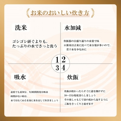 【さとふる限定】茨城県産 コシヒカリ 10kg(5kg×2袋)【令和7年産/精米/12月配送】