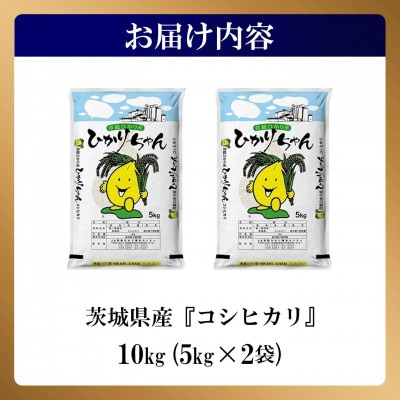 【さとふる限定】茨城県産 コシヒカリ 10kg(5kg×2袋)【令和7年産/精米/1月中旬配送】