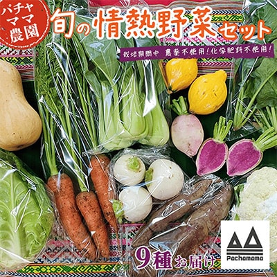 農園自慢の情熱野菜セット9品(種類おまかせ)