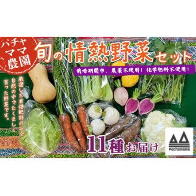 農園自慢の情熱野菜セット11品(種類おまかせ)