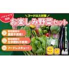 お楽しみ★農園自慢の情熱野菜セット9袋　フードロス対策　訳あり